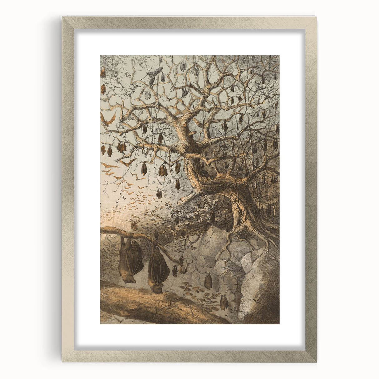 Grunge Wall Art - Vintage Bat Tree Illustration Grunge Canvas Print