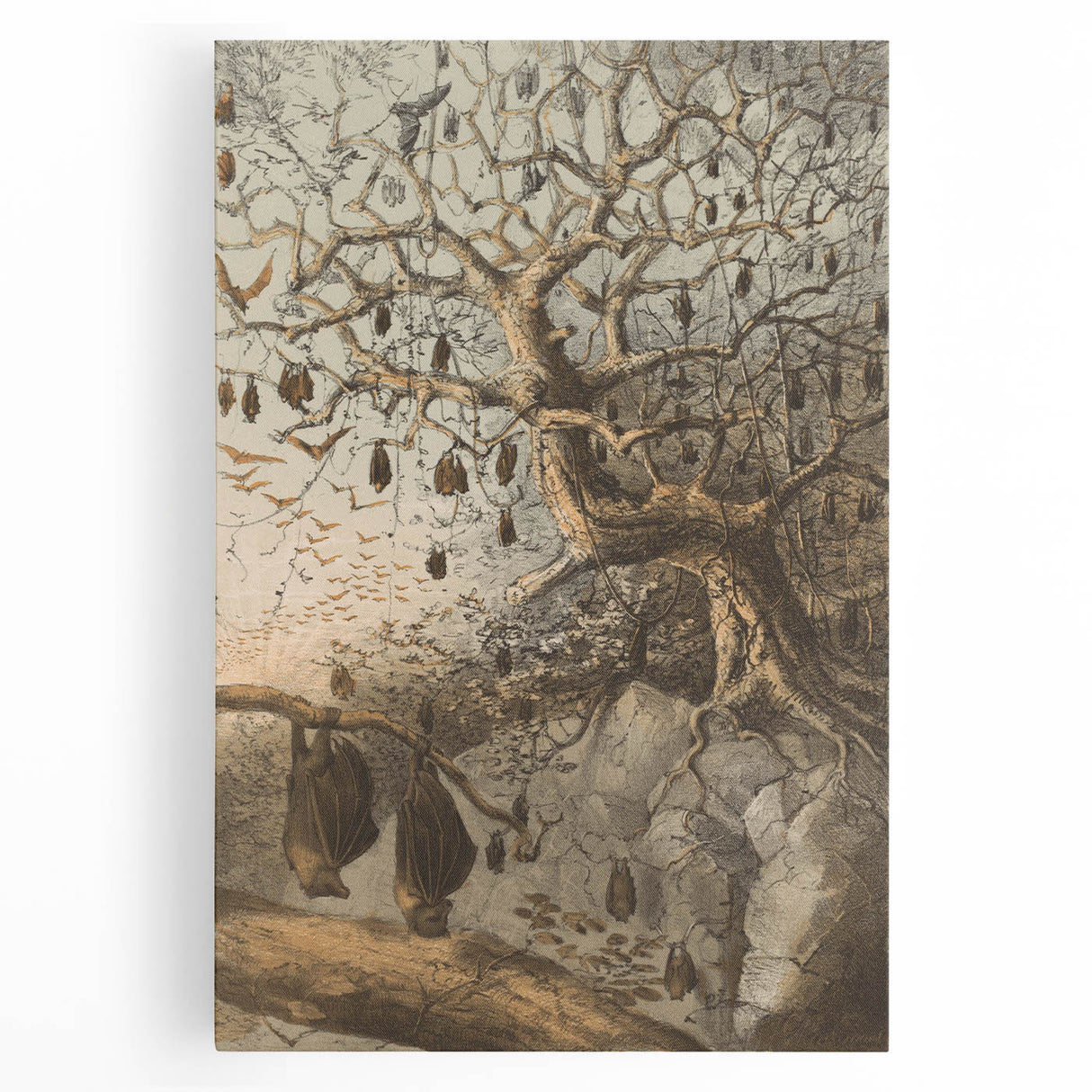 Grunge Wall Art - Vintage Bat Tree Illustration Grunge Canvas Print