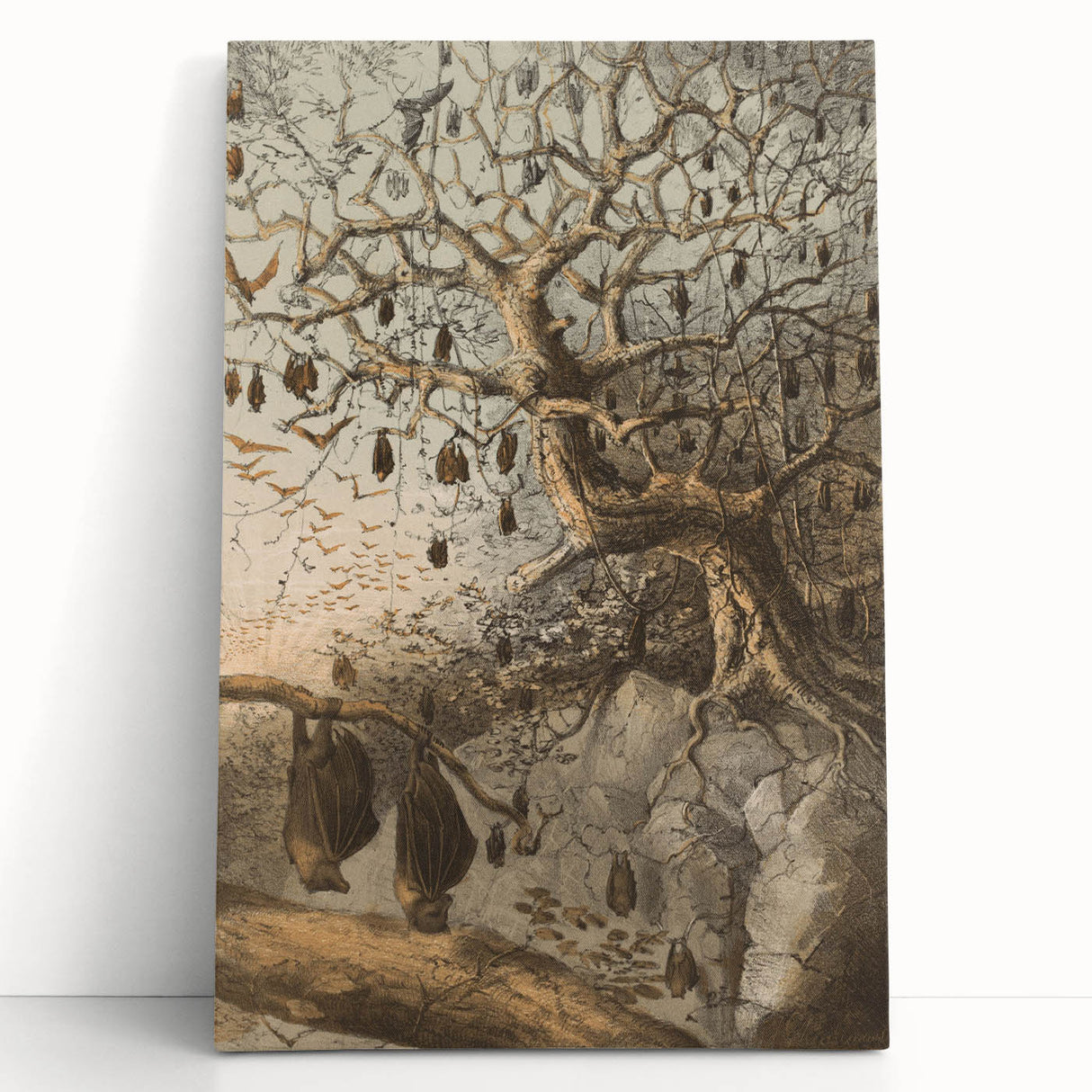 Grunge Wall Art - Vintage Bat Tree Illustration Grunge Canvas Print