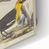 Grunge Aesthetic Art: Vintage Bird Illustration Grunge Canvas Print