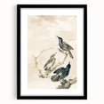 Urban Grunge Bird Art Print - Abstract Canvas for Modern Home Decor