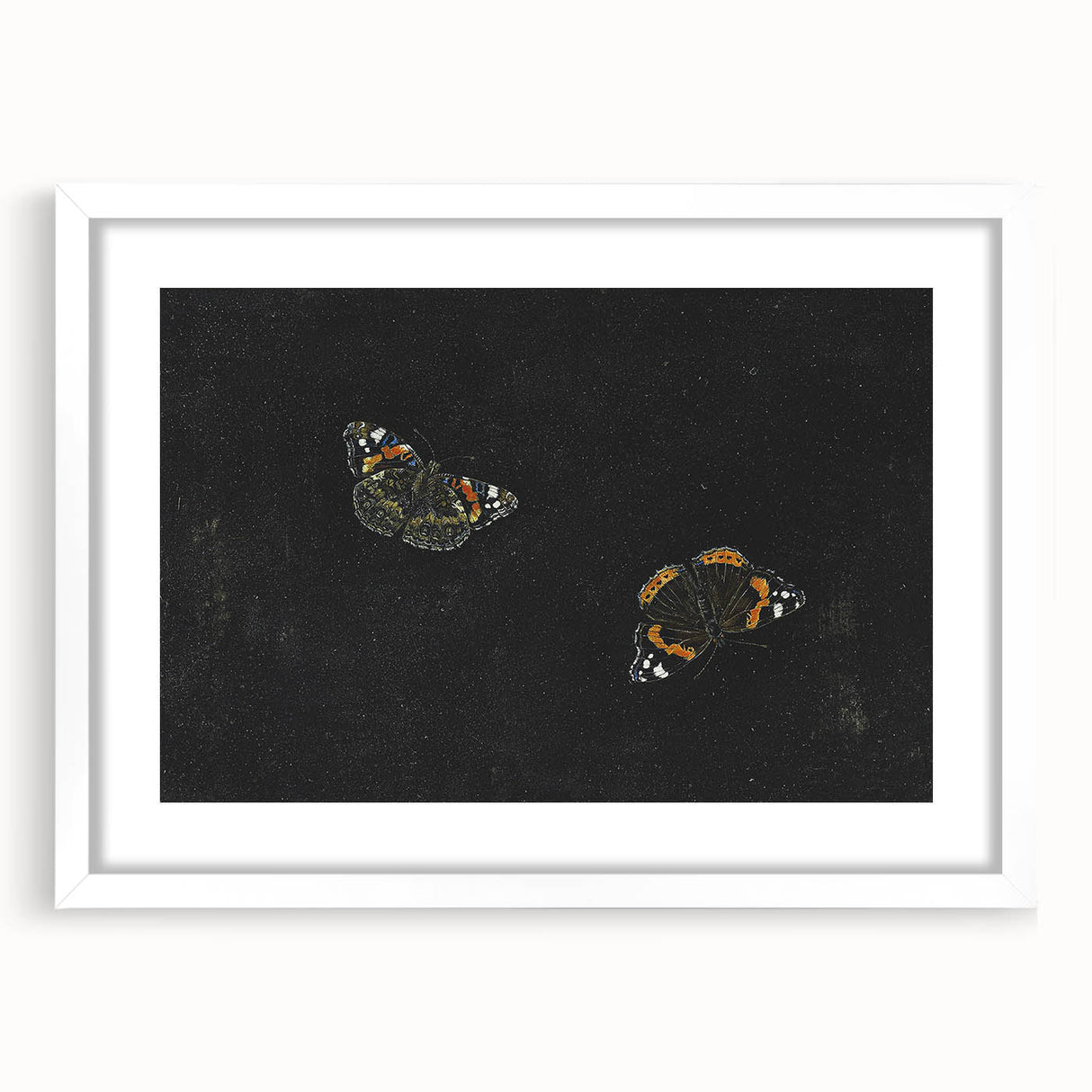 Urban Grunge Art - Butterfly Canvas Print for Modern Wall Decor