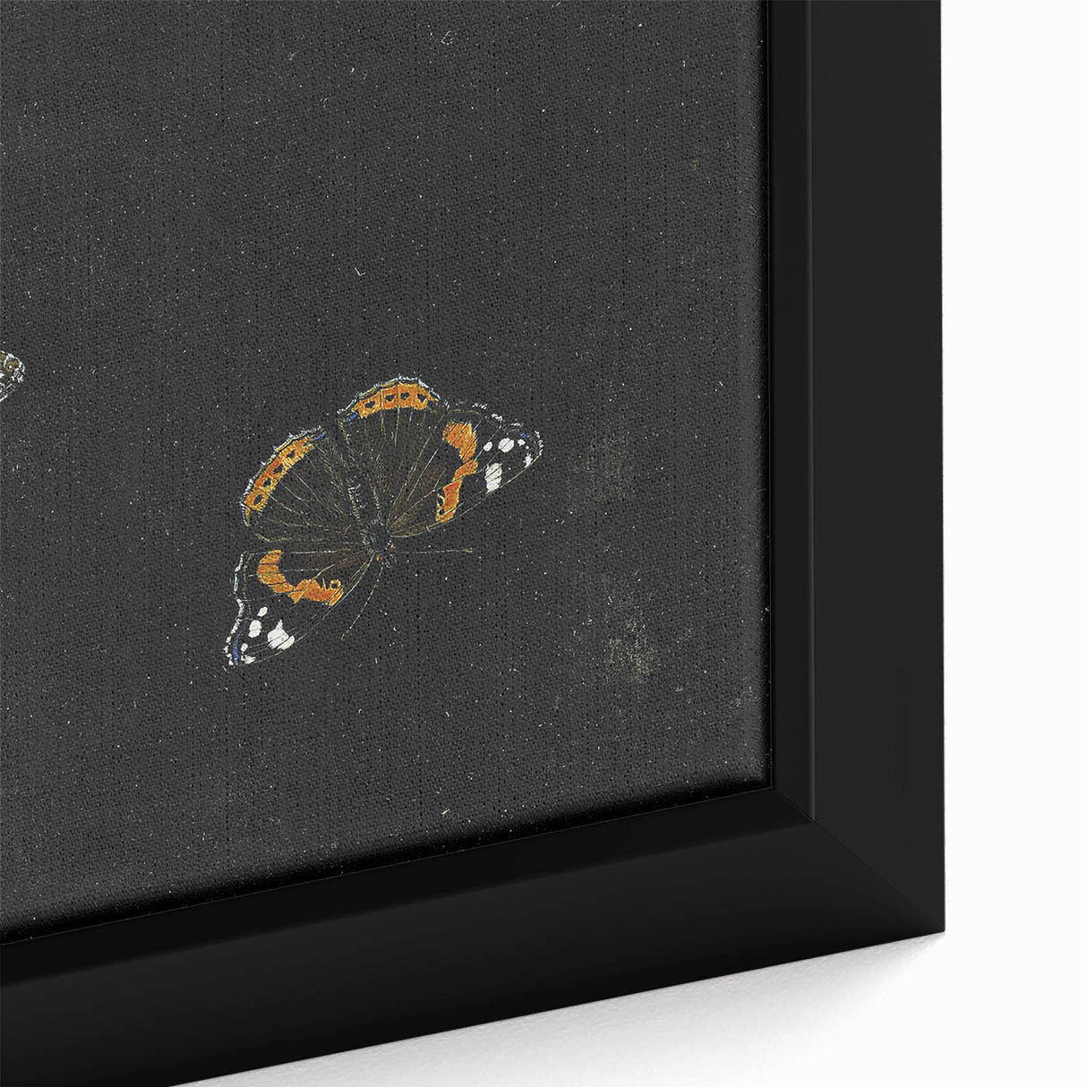 Urban Grunge Art - Butterfly Canvas Print for Modern Wall Decor