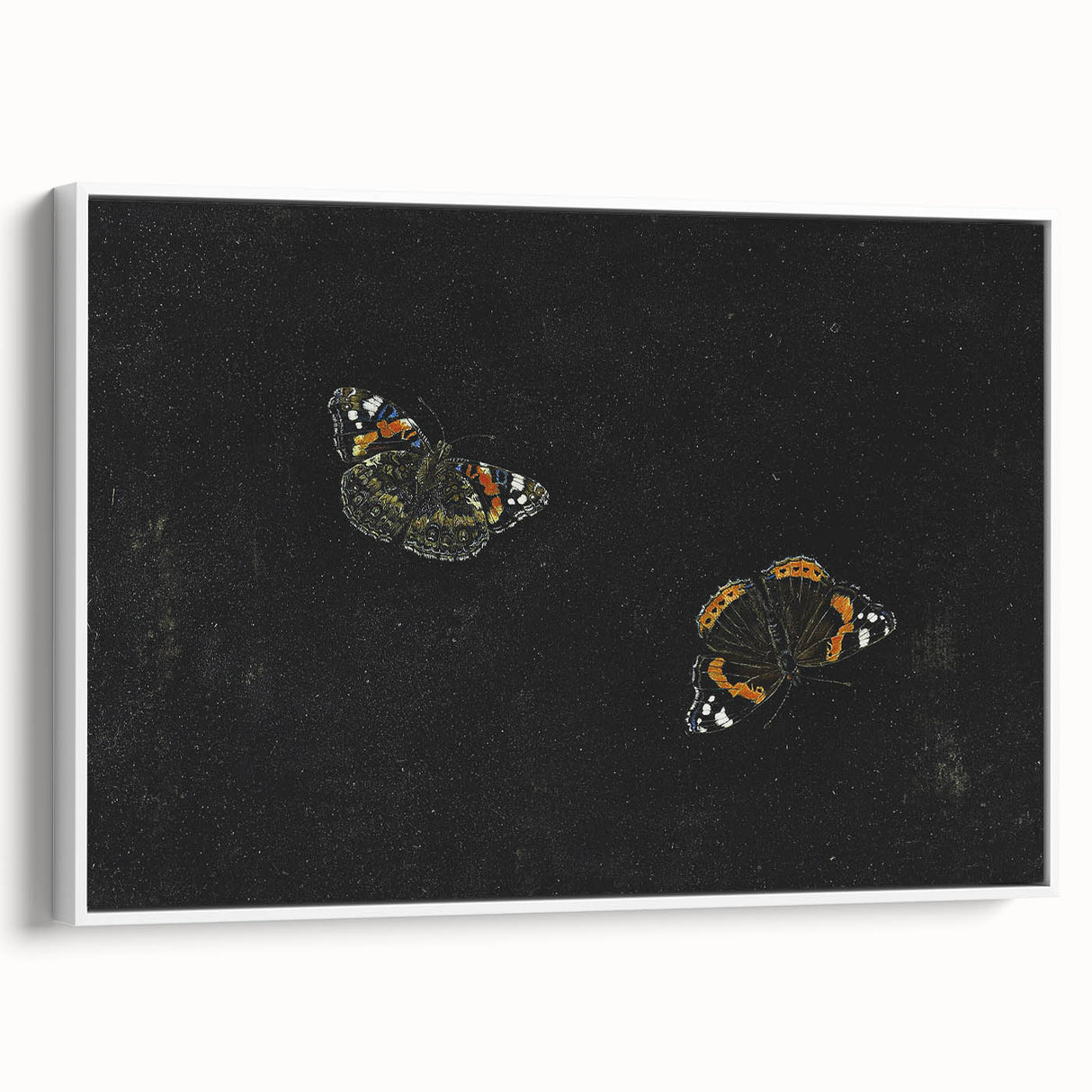 Urban Grunge Art - Butterfly Canvas Print for Modern Wall Decor