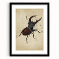 Abstract Grunge Stag Beetle Art - Distressed Insect Canvas Print