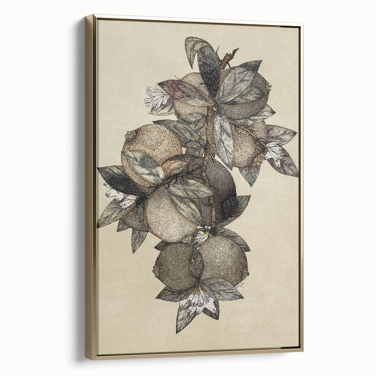 Grunge Citrus Botanical Art - Distressed Vintage Lemon Canvas Print