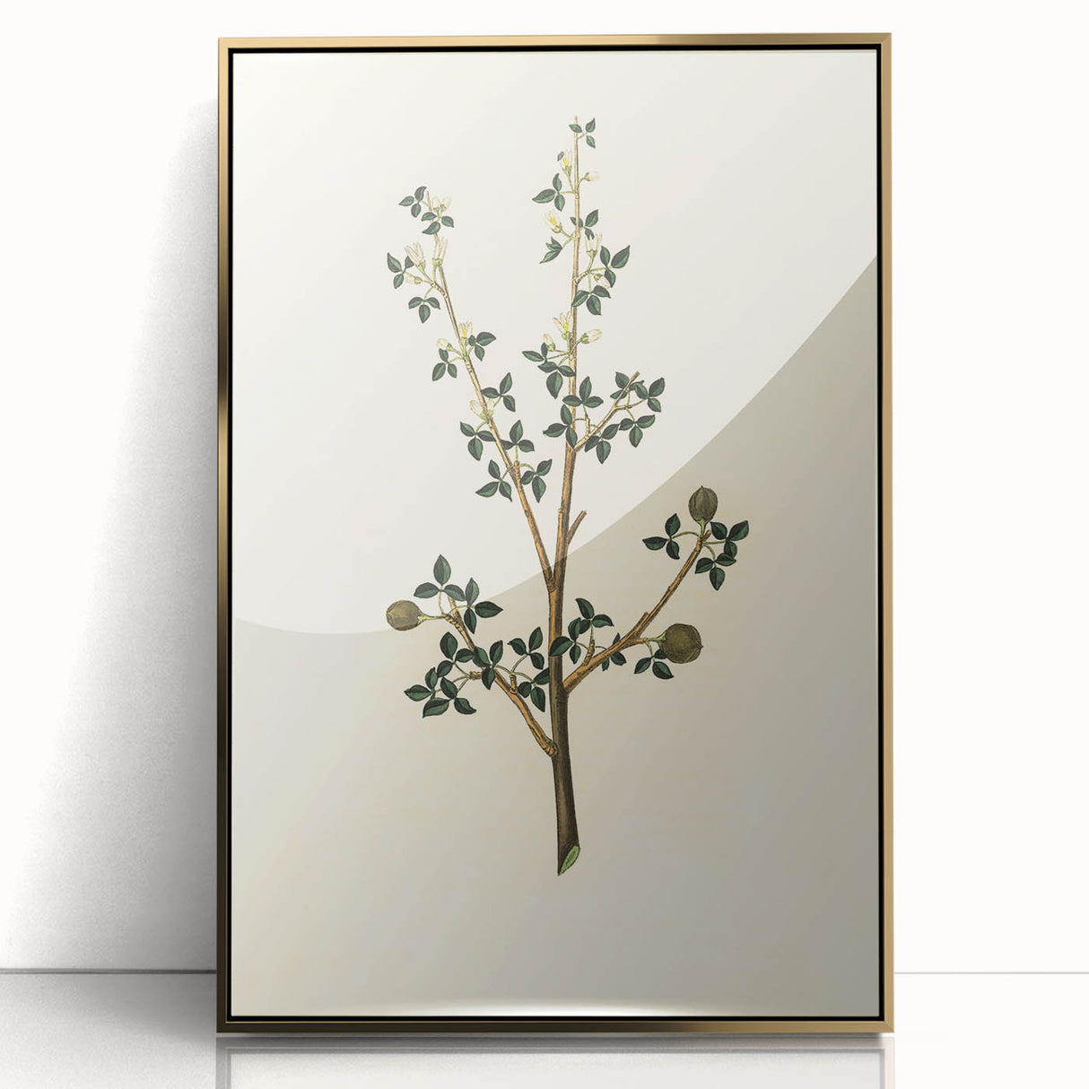 Vintage Grunge Botanical Print - Minimalist Greenery Canvas Wall Art