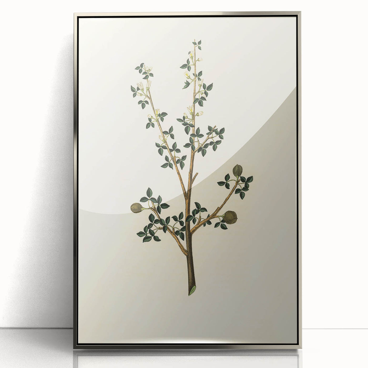 Vintage Grunge Botanical Print - Minimalist Greenery Canvas Wall Art