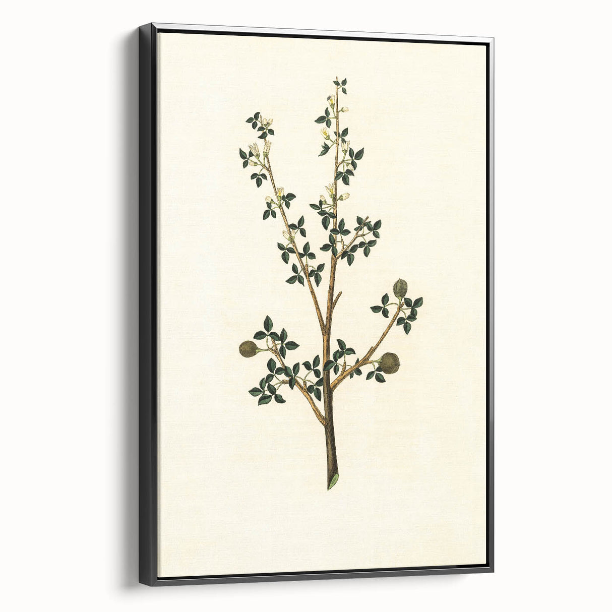 Vintage Grunge Botanical Print - Minimalist Greenery Canvas Wall Art