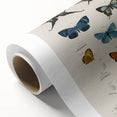 Vintage Grunge Butterfly Chart - Distressed Insect Canvas Wall Art