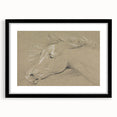Grunge Aesthetic Art - Horse Sketch Canvas for Modern Decor Style