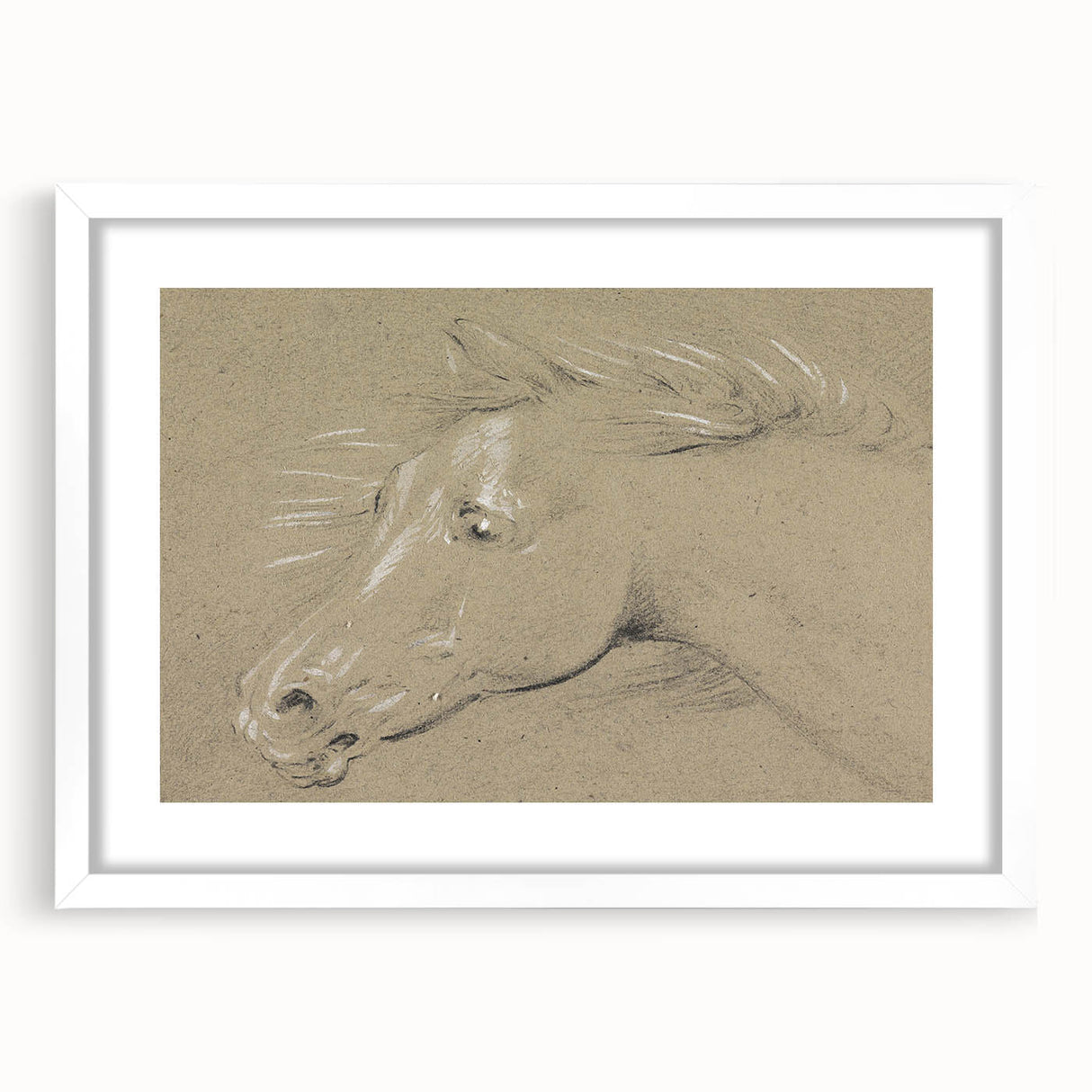 Grunge Aesthetic Art - Horse Sketch Canvas for Modern Decor Style