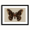 Grunge Aesthetic Art: Vintage Moth Illustration Grunge Canvas Print