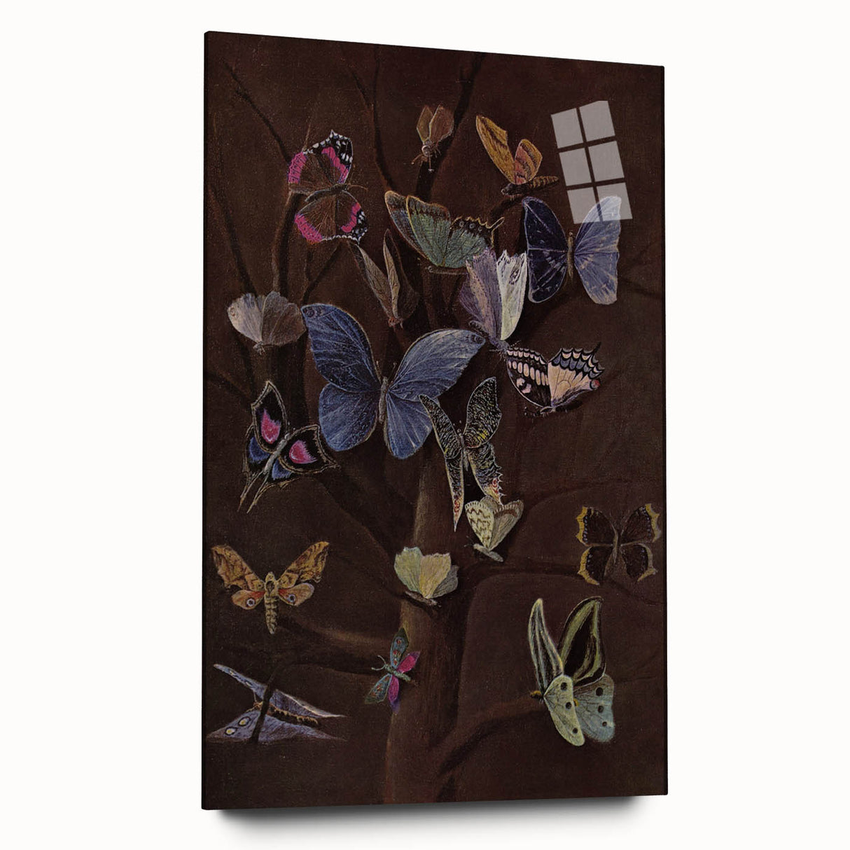 Abstract Grunge Butterfly Canvas - Edgy and Distressed Wall Art Print