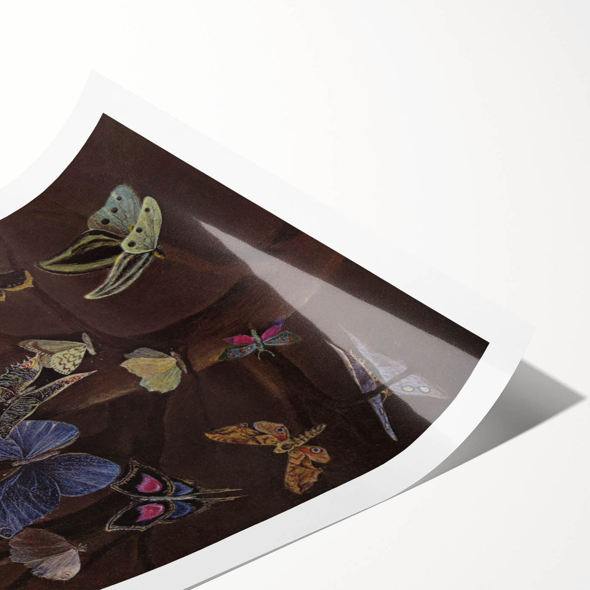 Abstract Grunge Butterfly Canvas - Edgy and Distressed Wall Art Print