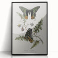 Grunge Aesthetic Art: Vintage Butterfly Illustration Grunge Wall Art