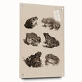 Vintage Grunge Frog Illustration - Distressed Amphibian Wall Art Print