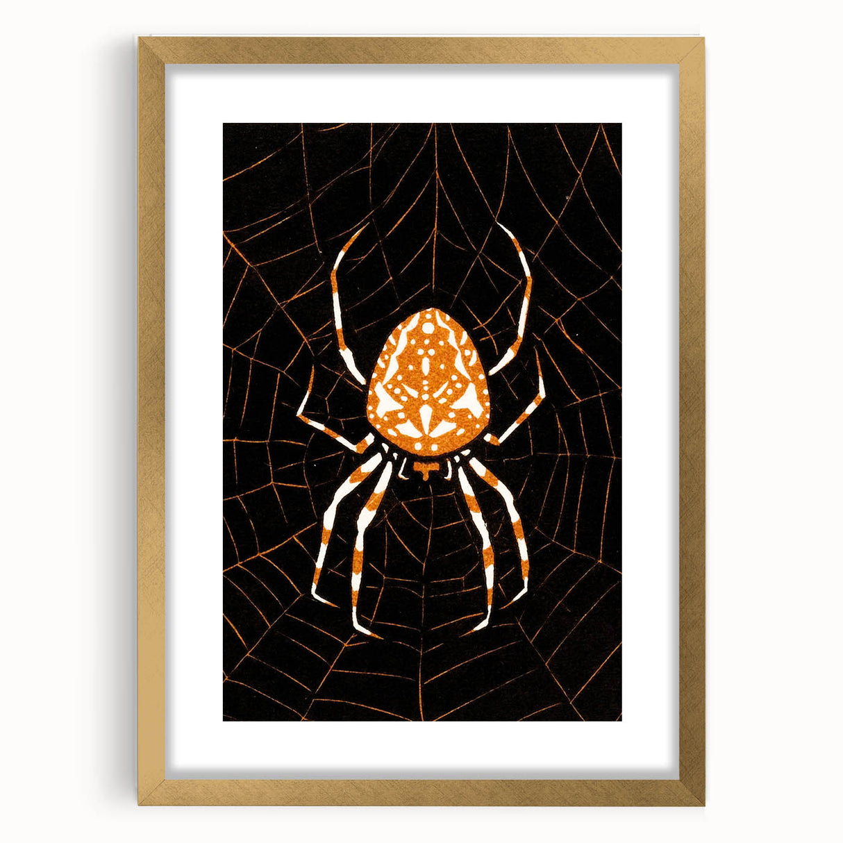 Grunge Spider and Web Art - Distressed Dark Insect Illustration Print