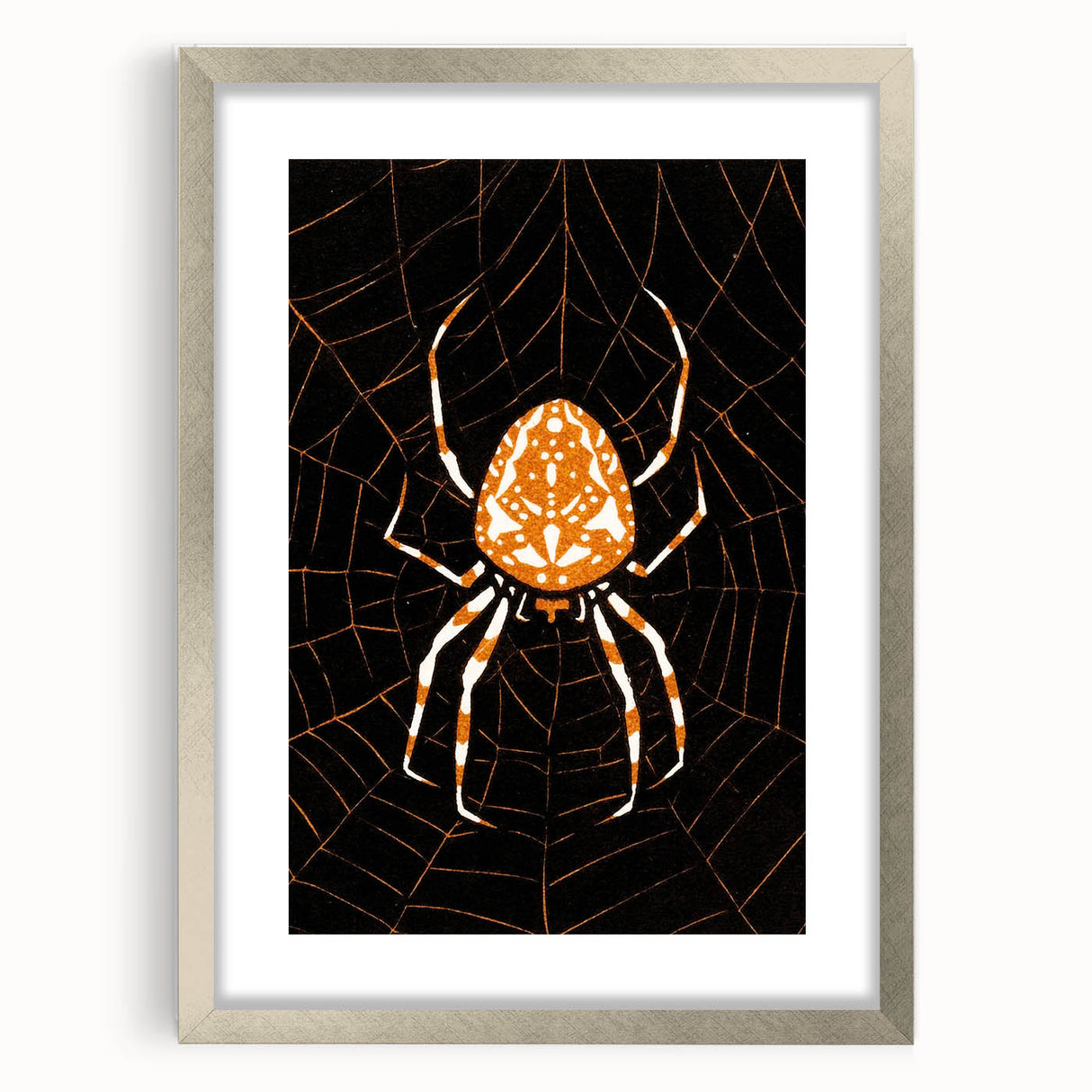Grunge Spider and Web Art - Distressed Dark Insect Illustration Print