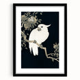 Grunge Parrot and Pomegranate Art - Vintage Dark Botanical Wall Print