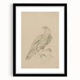 Abstract Grunge Eagle Sketch - Vintage Bird Wall Art Print