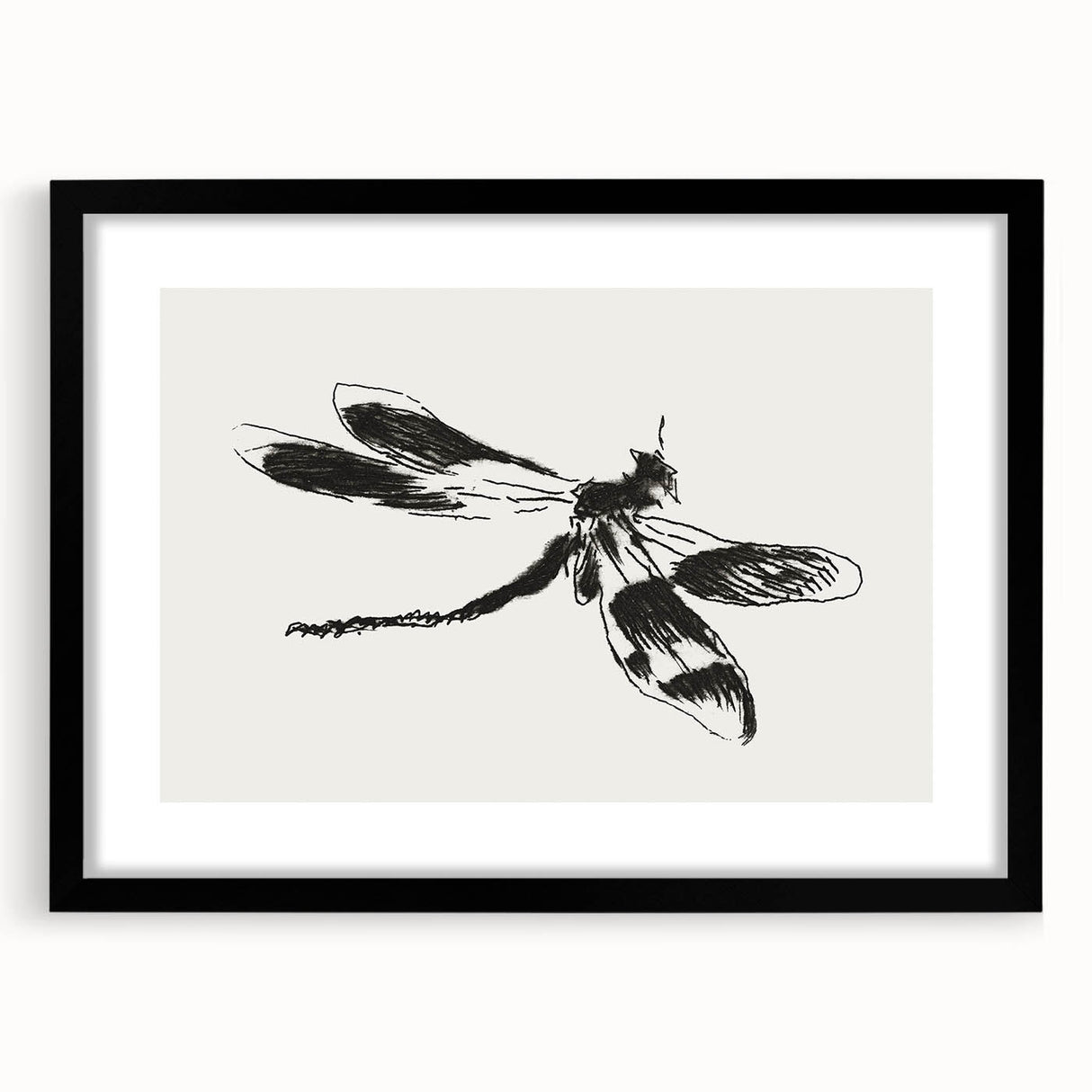 Grunge Insect Sketch Art Print - Abstract Dragonfly Canvas - Edgy Decor