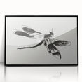 Grunge Insect Sketch Art Print - Abstract Dragonfly Canvas - Edgy Decor