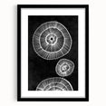 Mid Century Modern Art | Bold Geometric Wall Decor | Retro Black & White