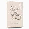 Minimalist Botanical Art: "Homegrown Fruit" Apple Branch Sketch in Neutral Tones