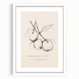Minimalist Botanical Art: "Homegrown Fruit" Apple Branch Sketch in Neutral Tones