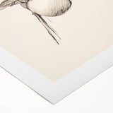 Minimalist Wall Art – Simple Botanical Line Art Prints for Modern Decor