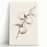 Minimalist Wall Art – Simple Botanical Line Art Prints for Modern Decor