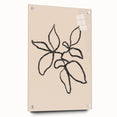 Minimalist Line Art – Elegant Modern Botanical Wall Art for Stylish Decor