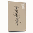 Minimalist Botanical Line Art – Elegant Plant Study for Modern Wall Decor
