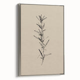 Minimalist Botanical Line Art – Elegant Plant Study for Modern Wall Decor