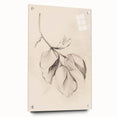 Minimalist Leaf Sketch – Modern Line Art for Clean and Simple Decor