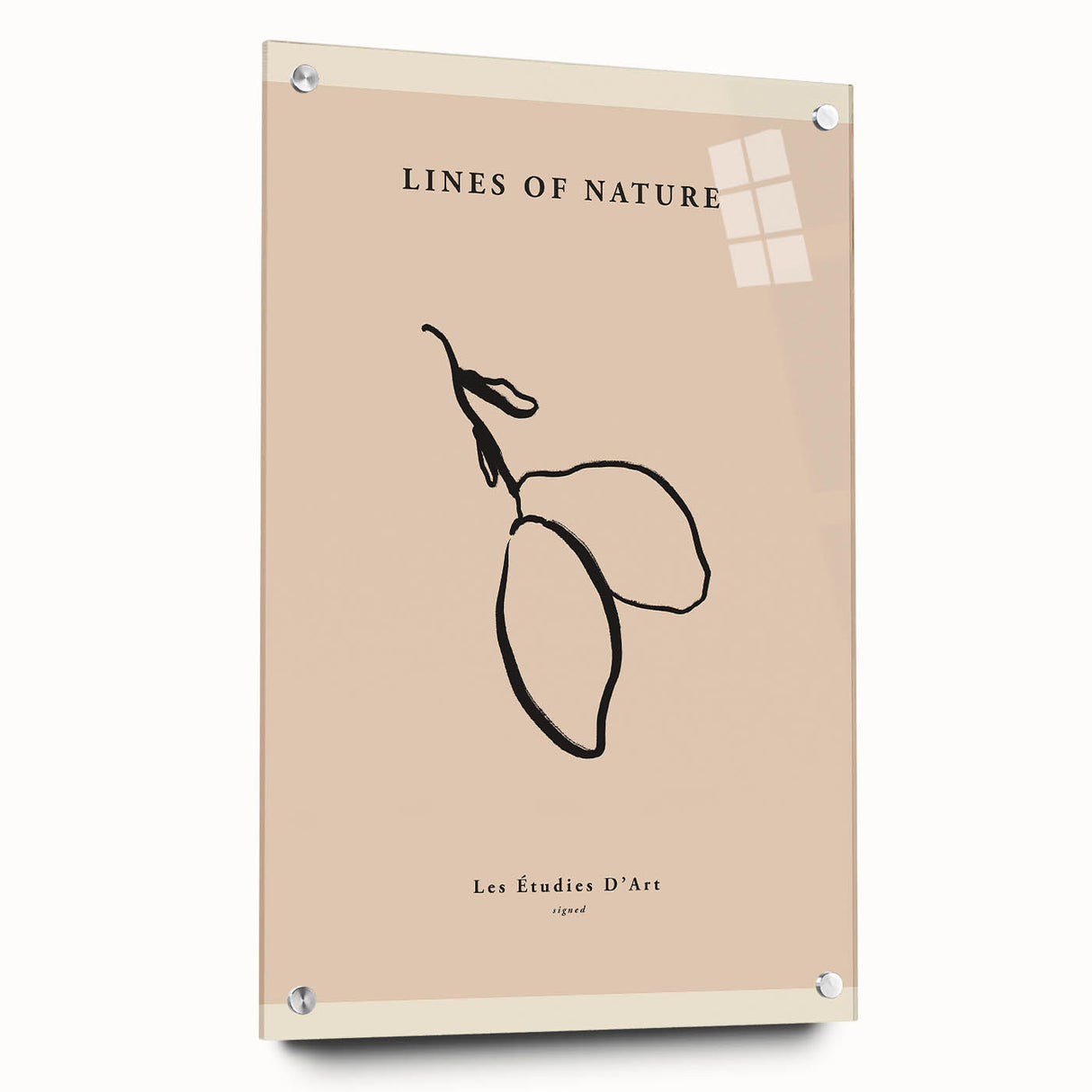 Minimalist Botanical Line Art – Simple Abstract Nature-Inspired Decor