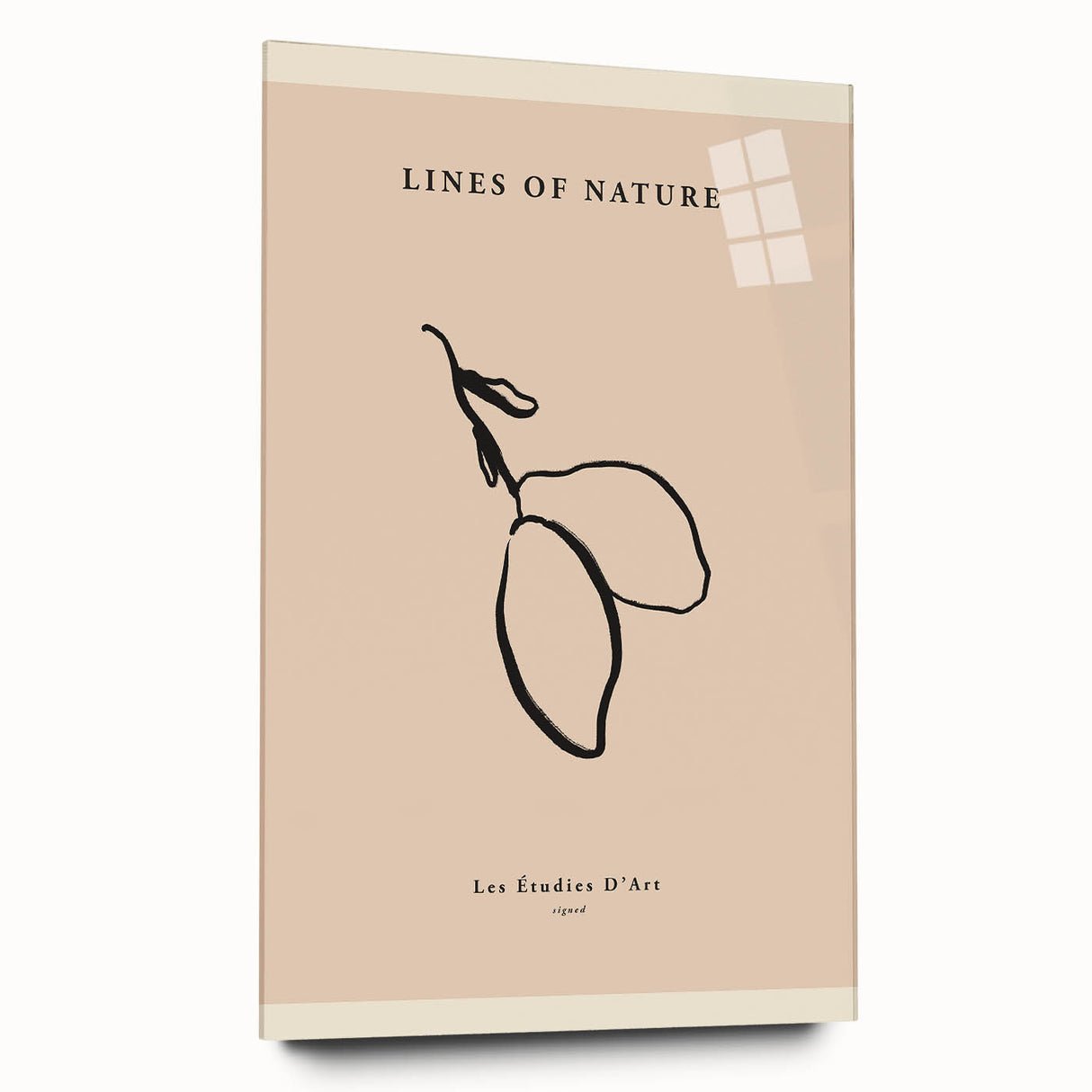 Minimalist Botanical Line Art – Simple Abstract Nature-Inspired Decor