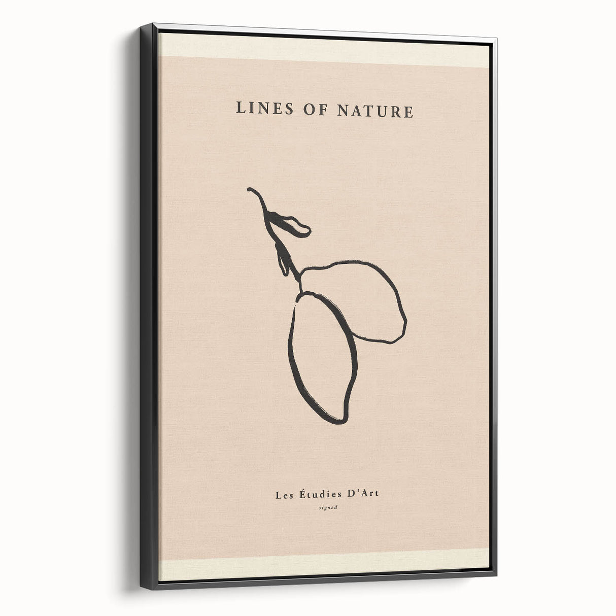 Minimalist Botanical Line Art – Simple Abstract Nature-Inspired Decor