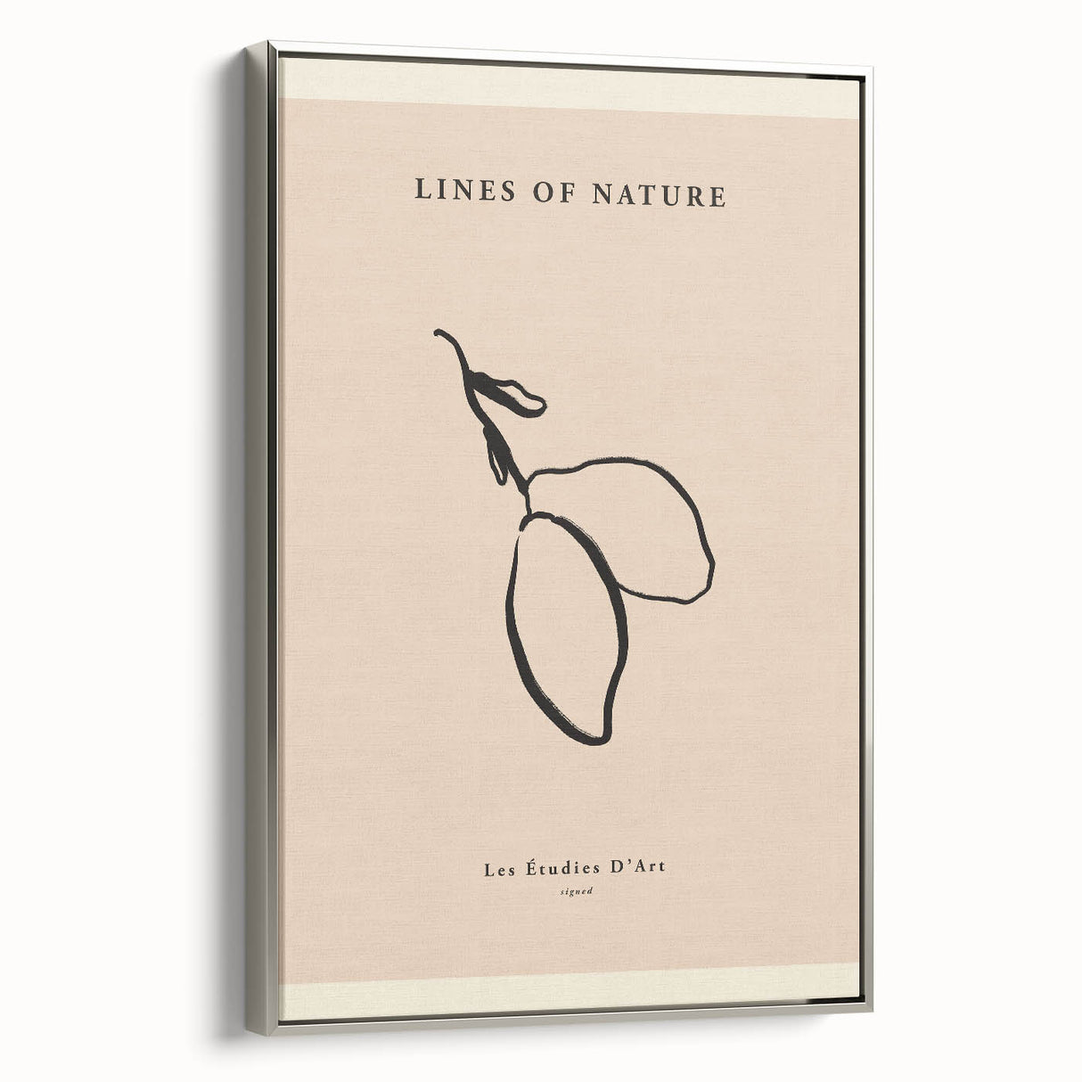 Minimalist Botanical Line Art – Simple Abstract Nature-Inspired Decor