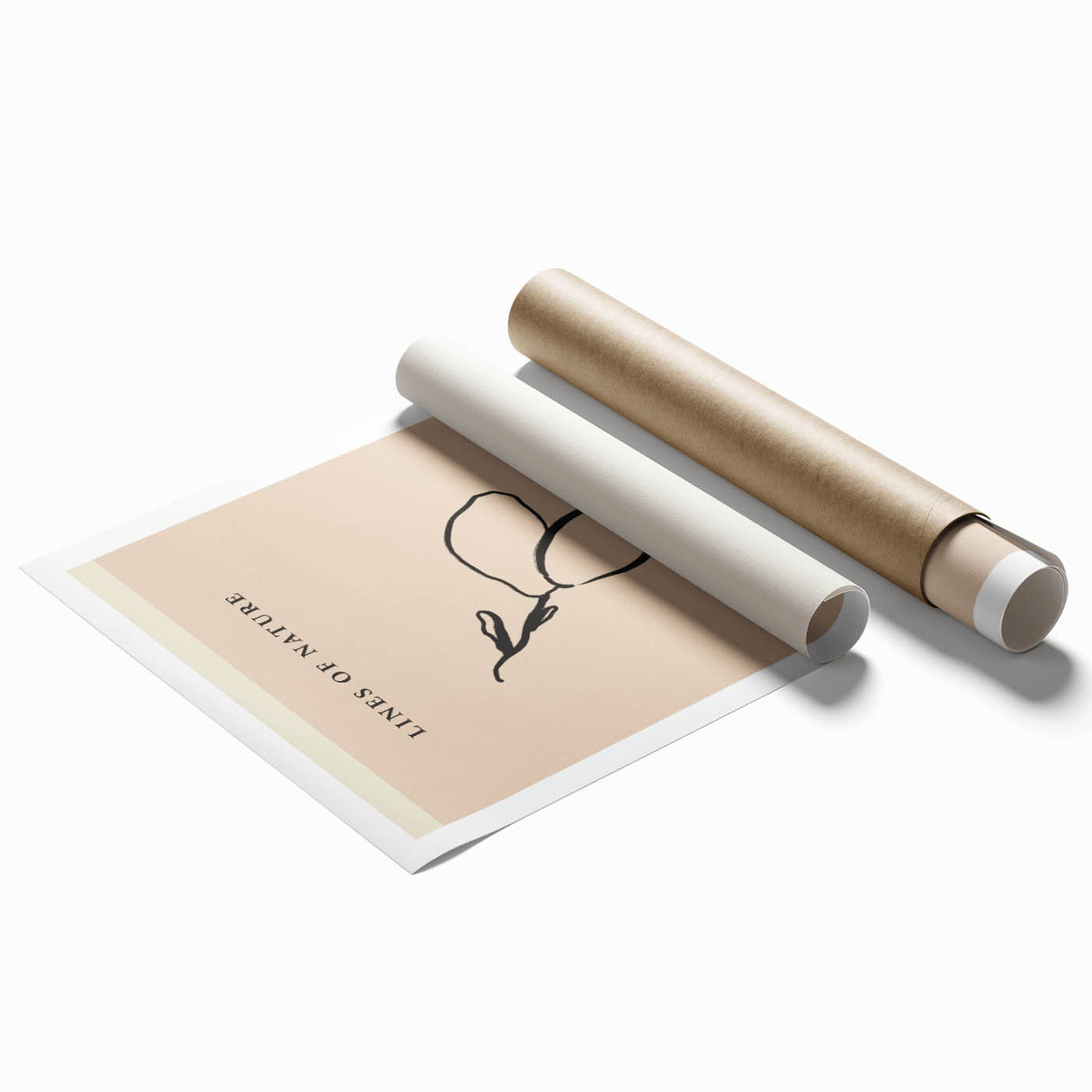 Minimalist Botanical Line Art – Simple Abstract Nature-Inspired Decor