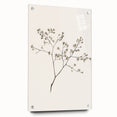 Minimalist Botanical Art Print: Simple Nature-Inspired Wall Art in Neutral Tones
