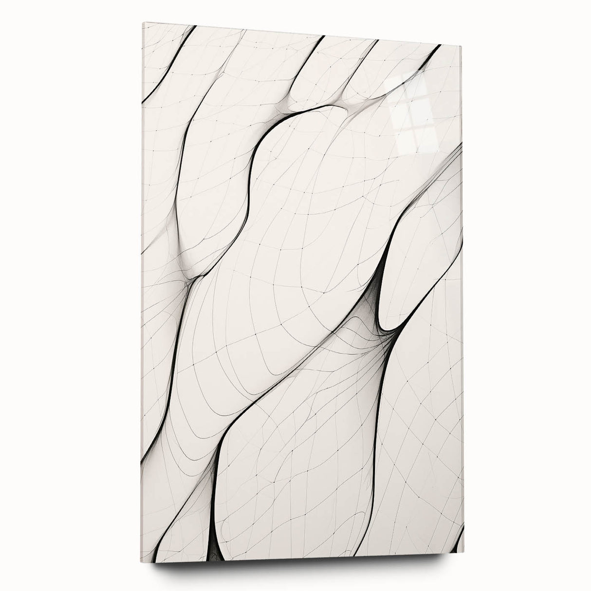 Minimalist Abstract Line Art: Flowing Organic Patterns in Black and White