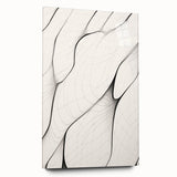 Minimalist Abstract Line Art: Flowing Organic Patterns in Black and White