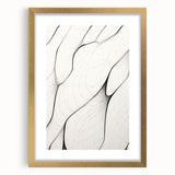Minimalist Abstract Line Art: Flowing Organic Patterns in Black and White
