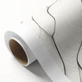 Minimalist Abstract Line Art: Flowing Organic Patterns in Black and White