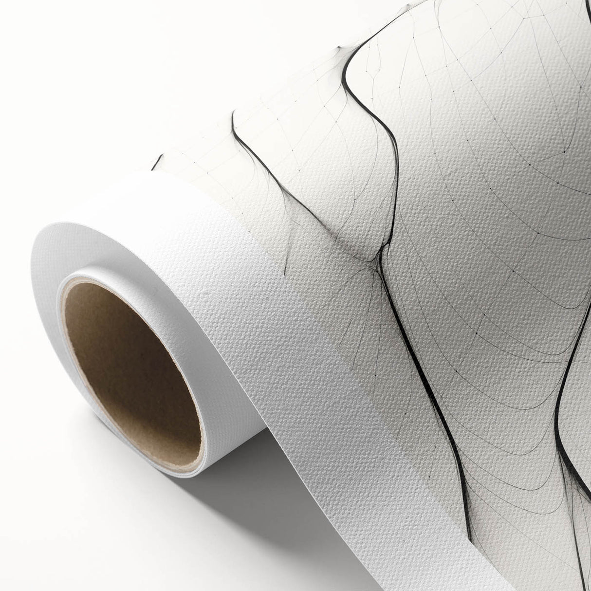 Minimalist Abstract Line Art: Flowing Organic Patterns in Black and White