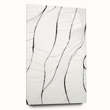 Minimalist Abstract Line Art: Delicate Organic Patterns in Black and White