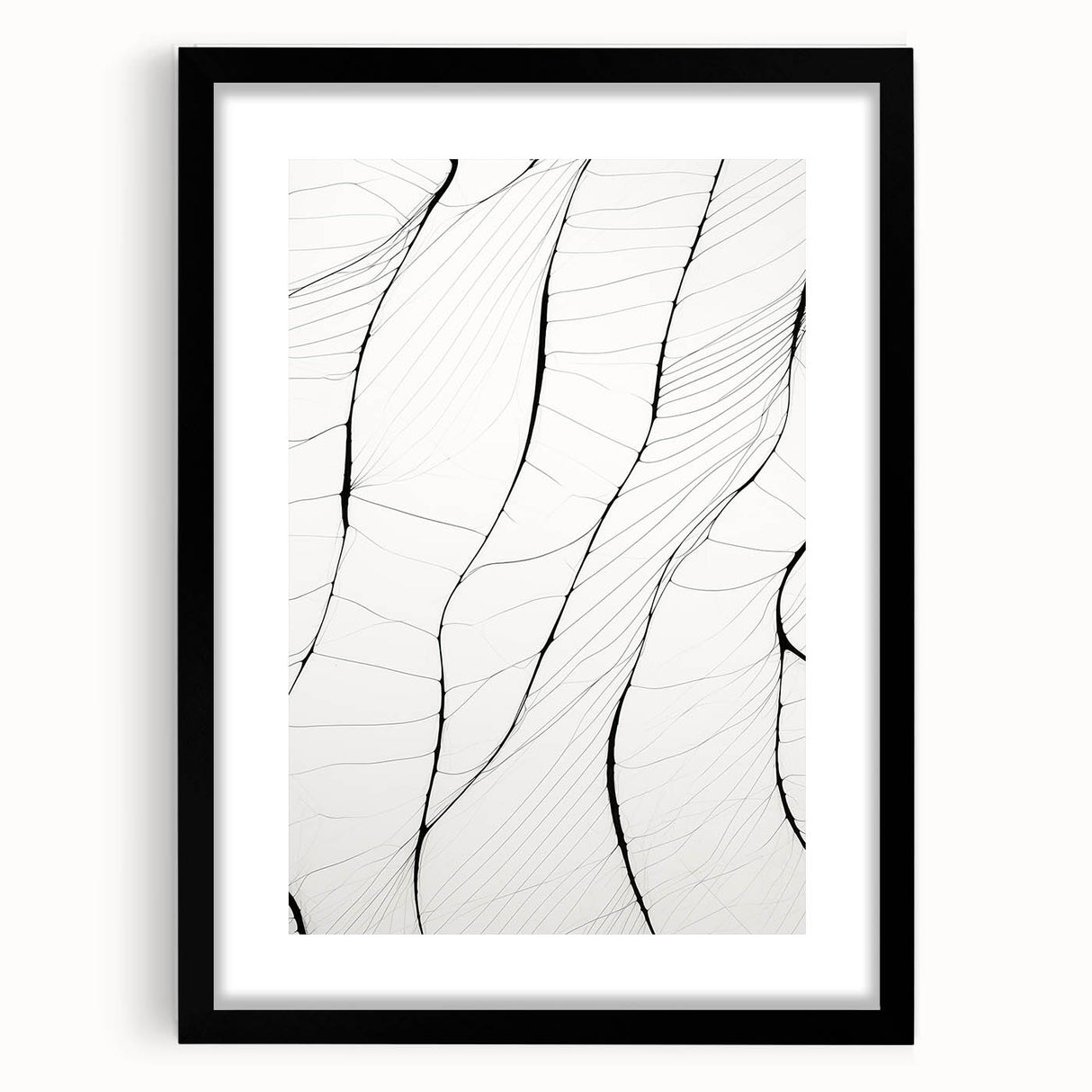 Minimalist Abstract Line Art: Delicate Organic Patterns in Black and White