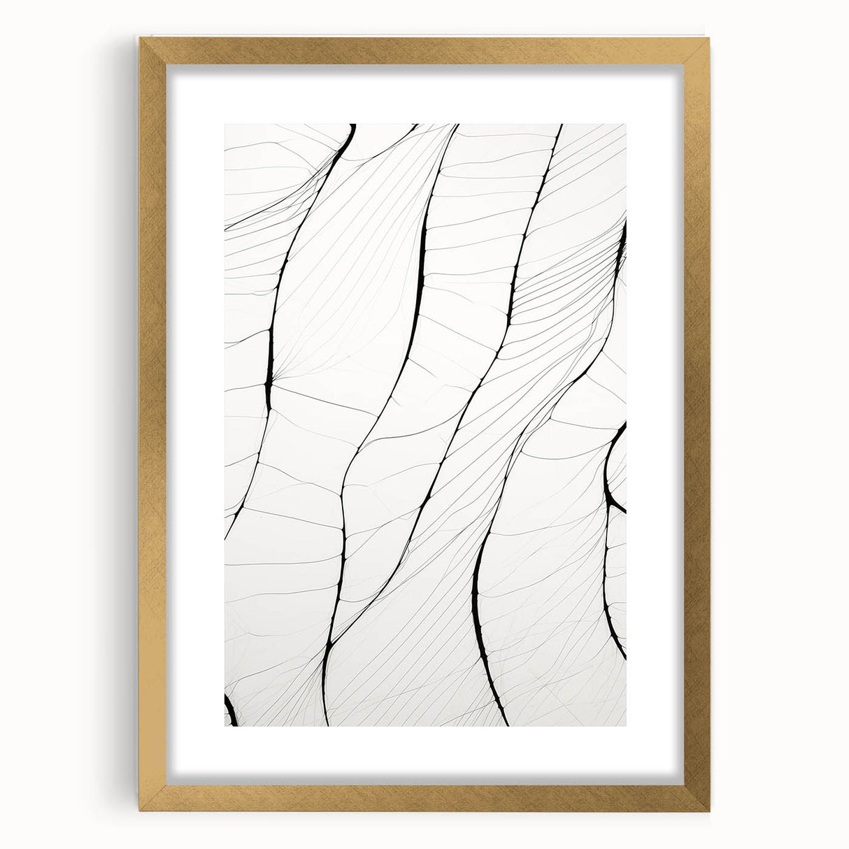 Minimalist Abstract Line Art: Delicate Organic Patterns in Black and White